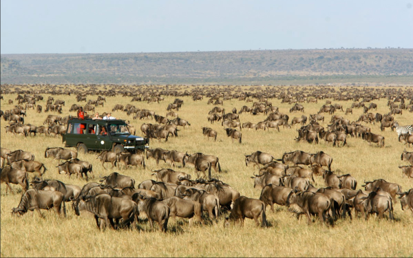 15 DAYS/ 14 NIGHTS SOUTH AFRICAN GRANDEUR WITH KENYAN DHAMAKA